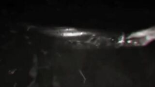 Yellow Cheek рыбалка в Shanghai с Gong Lei городской канал и охота за редкой трофейной рыбой