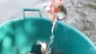 Yellow Cheek рыбалка в Shanghai с Gong Lei городской канал и охота за редкой трофейной рыбой