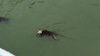 Таиланд, экскурсия на острова Ko Rok Ko Ha и Lanta и есть ли там рыбалка с лодки