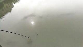 Рыбалка в центре Shanghai городские набережные парки и удивлённые прохожие вокруг рыбака