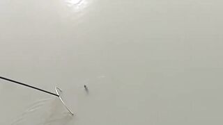 Рыбалка в центре Shanghai городские набережные парки и удивлённые прохожие вокруг рыбака