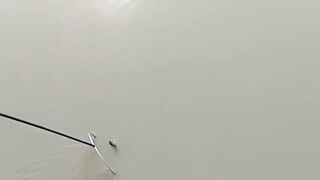 Рыбалка в центре Shanghai городские набережные парки и удивлённые прохожие вокруг рыбака