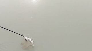 Рыбалка в центре Shanghai городские набережные парки и удивлённые прохожие вокруг рыбака