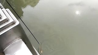 Рыбалка в центре Shanghai городские набережные парки и удивлённые прохожие вокруг рыбака