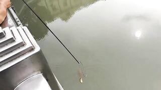 Рыбалка в центре Shanghai городские набережные парки и удивлённые прохожие вокруг рыбака