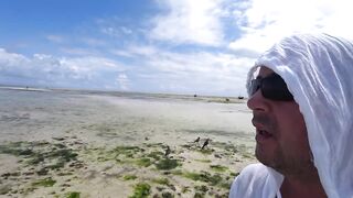 Nungwi Zanzibar заплыв в черепашьем питомнике и тёплое море в декабре 2020 года