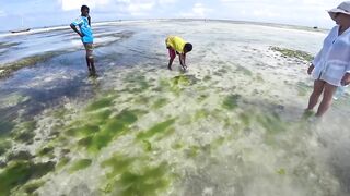 Nungwi Zanzibar заплыв в черепашьем питомнике и тёплое море в декабре 2020 года