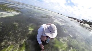 Nungwi Zanzibar заплыв в черепашьем питомнике и тёплое море в декабре 2020 года