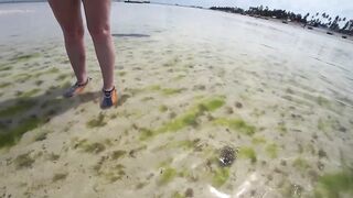 Nungwi Zanzibar заплыв в черепашьем питомнике и тёплое море в декабре 2020 года