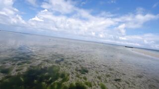 Nungwi Zanzibar заплыв в черепашьем питомнике и тёплое море в декабре 2020 года