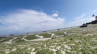 Nungwi Zanzibar заплыв в черепашьем питомнике и тёплое море в декабре 2020 года