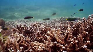 Extreme China Hainan эпизод 2 - путешествие по острову и морскому побережью в первом клипе