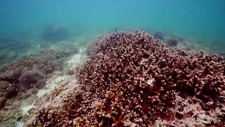 Extreme China Hainan эпизод 2 - путешествие по острову и морскому побережью в первом клипе