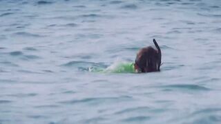 Extreme China Hainan эпизод 2 - путешествие по острову и морскому побережью в первом клипе