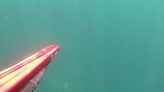 Подводная охота в Tripoli Libya на trigger fish и другую рыбу у скалистого берега Ливии