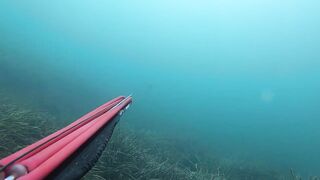 Подводная охота в Tripoli Libya на trigger fish и другую рыбу у скалистого берега Ливии