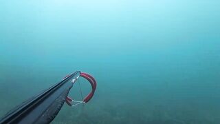 Подводная охота в Tripoli Libya на trigger fish и другую рыбу у скалистого берега Ливии