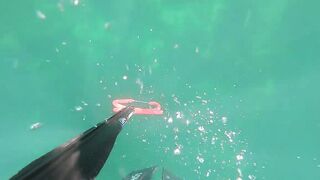 Подводная охота в Tripoli Libya на trigger fish и другую рыбу у скалистого берега Ливии