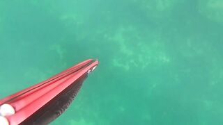 Подводная охота в Tripoli Libya на trigger fish и другую рыбу у скалистого берега Ливии