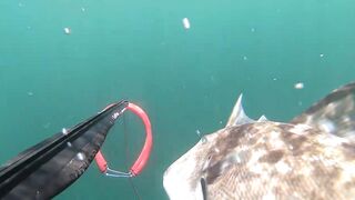 Подводная охота в Tripoli Libya на trigger fish и другую рыбу у скалистого берега Ливии