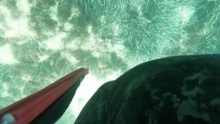 Подводная охота в Tripoli Libya на trigger fish и другую рыбу у скалистого берега Ливии