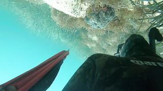 Подводная охота в Tripoli Libya на trigger fish и другую рыбу у скалистого берега Ливии