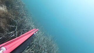 Подводная охота в Tripoli Libya на trigger fish и другую рыбу у скалистого берега Ливии