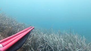 Подводная охота в Tripoli Libya на trigger fish и другую рыбу у скалистого берега Ливии