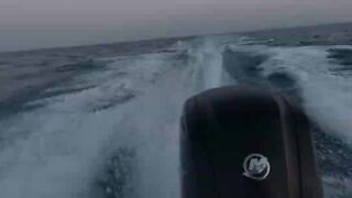 Морская рыбалка на Северном Кипре за тунцом поймали большого тунца вместе с DREAM LIFE NORTH CYPRUS