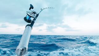 Морская рыбалка на Северном Кипре за тунцом поймали большого тунца вместе с DREAM LIFE NORTH CYPRUS