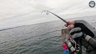 Khao Lak Таиланд экшн рыбалка на queenfish топвотер удары целый день за рифом в море