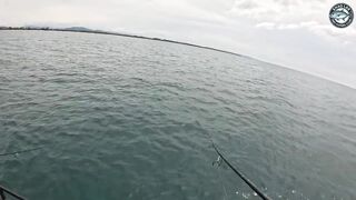 Khao Lak Таиланд экшн рыбалка на queenfish топвотер удары целый день за рифом в море