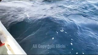 Gulf of Tadjourah лазурный залив Джибути прогулка по воде и стоит ли приезжать сюда на рыбалку