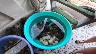 Squid ночная рыбалка на кальмара у моря и стоит ли брать с собой снасти на такой выезд