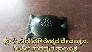 Snakehead Muchala Safed Gagra рыбалка по разным видам и насыщенный день у деревенского водоёма