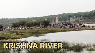 Snakehead Muchala Safed Gagra рыбалка по разным видам и насыщенный день у деревенского водоёма