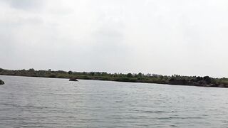 Snakehead Muchala Safed Gagra рыбалка по разным видам и насыщенный день у деревенского водоёма