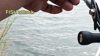 Snakehead Muchala Safed Gagra рыбалка по разным видам и насыщенный день у деревенского водоёма