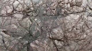 Snakehead Muchala Safed Gagra рыбалка по разным видам и насыщенный день у деревенского водоёма