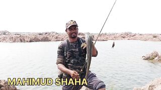 Snakehead Muchala Safed Gagra рыбалка по разным видам и насыщенный день у деревенского водоёма
