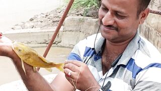 Snakehead Muchala Safed Gagra рыбалка по разным видам и насыщенный день у деревенского водоёма