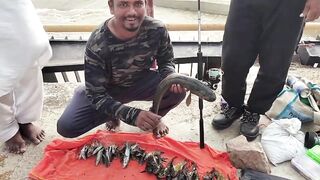 Snakehead Muchala Safed Gagra рыбалка по разным видам и насыщенный день у деревенского водоёма