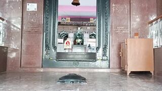 Snakehead Muchala Safed Gagra рыбалка по разным видам и насыщенный день у деревенского водоёма