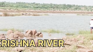 Snakehead Muchala Safed Gagra рыбалка по разным видам и насыщенный день у деревенского водоёма