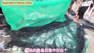 Морская рыбалка в Sanya Bay Hainan огромный улов почти в тысячу килограммов рыбы в одной сети