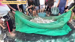 Морская рыбалка в Sanya Bay Hainan огромный улов почти в тысячу килограммов рыбы в одной сети