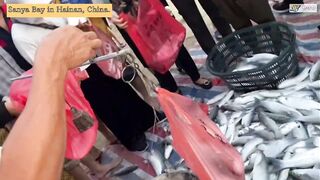 Морская рыбалка в Sanya Bay Hainan огромный улов почти в тысячу килограммов рыбы в одной сети