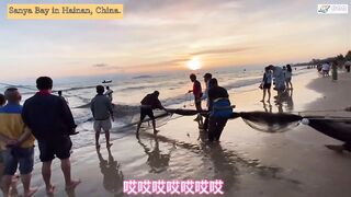 Морская рыбалка в Sanya Bay Hainan огромный улов почти в тысячу килограммов рыбы в одной сети