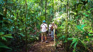 Puerto Jimenez Costa Rica - путешествие по Osa Peninsula и порту для океанской рыбалки
