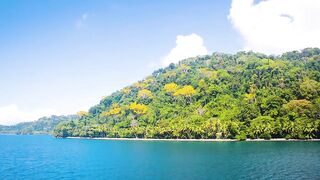 Puerto Jimenez Costa Rica - путешествие по Osa Peninsula и порту для океанской рыбалки